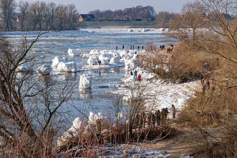 Many visitors look at the icebergs on the water of the Elbe and on the banks of the Elbe Island