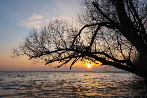 Sunset at Dümmer, Lembruch, Lower Saxony, Germany
