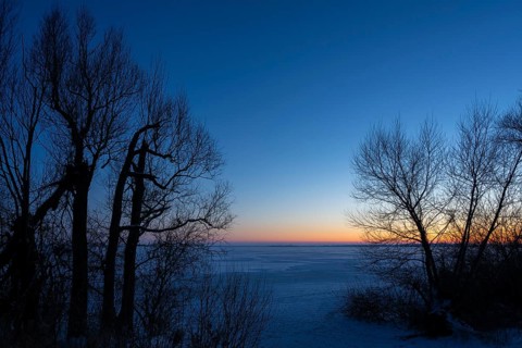 Winter on Dümmer at blue hour on frozen lake, Eickhöpen, Lembruch, Lower Saxony, Germany