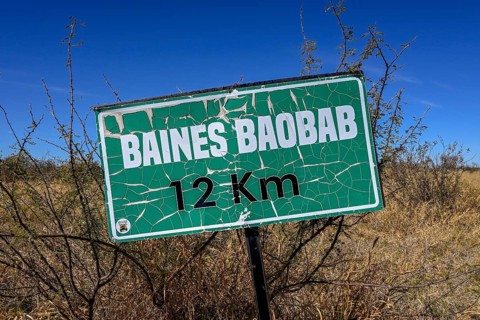 Sign Baines Baobabs, Nxai-Pan National Park, near Gweta, Central District, Botswana
