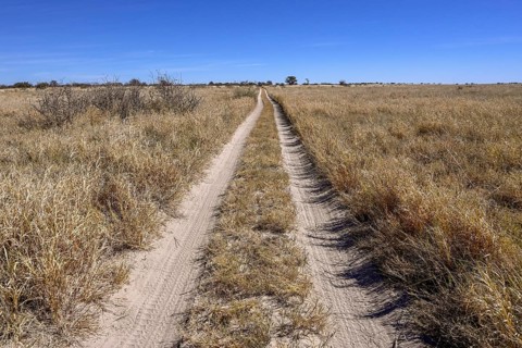Lane on the way to Baines Baobabs, Nxai-Pan National Park, near Gweta, Central District, Botswana