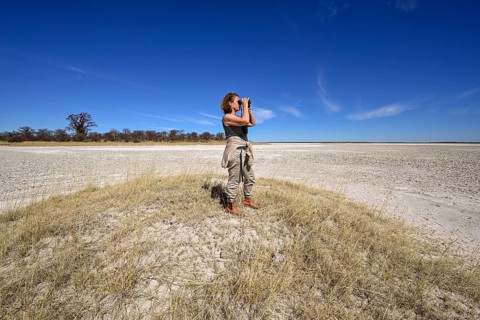 Tourist observes animals through binoculars near the Baines Baobabs, Kudiakam Pan, Nxai-Pan