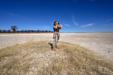 Tourist observes animals through binoculars near the Baines Baobabs, Nxai-Pan National Park, near