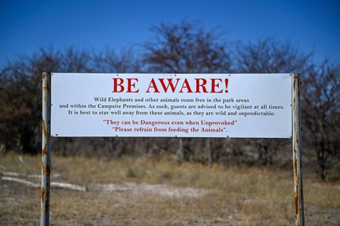 Warning sign for wild animals in South Camp, Campground, Nxai-Pan National Park, near Gweta,