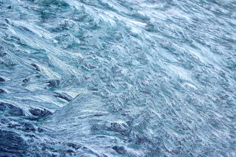 Beautiful ice flowers on a window, winter, Germany