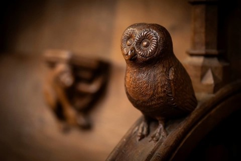 Owl, oak choir stalls for monks' hour prayers, 1493 by Jörg Syrlin the Younger, also Sürlin or