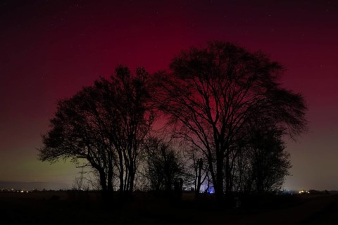 Northern lights (aurora borealis) glow red and green in the evening sky over Germany, Frankfurt am