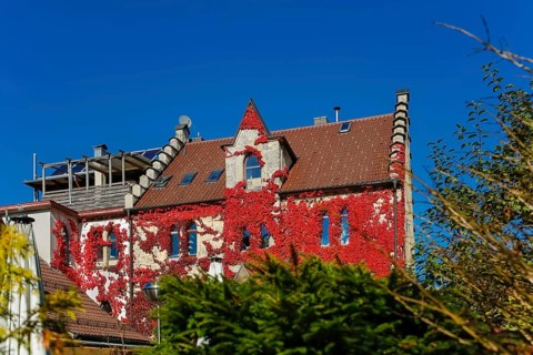 Restaurant Altes Forsthaus near Lichtenstein Castle, restaurant, dining restaurant, historic