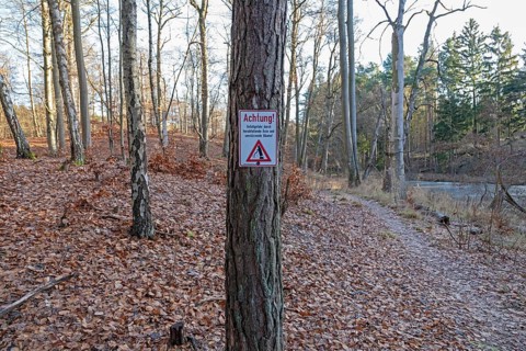 Warning sign warns of risk of accidents due to falling branches and falling trees, forest area near