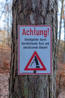 Warning sign warns of risk of accidents due to falling branches and falling trees, forest area near
