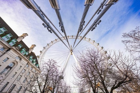 Unusual perspective of a Ferris wheel with trees and sky, London Eye, London, United Kingdom