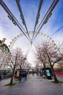 View through trees to Ferris wheel with blue sky in background, London Eye, London, United Kingdom