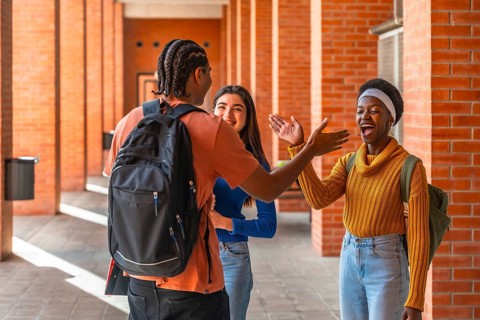 Diverse young students are happily greeting each other while walking along a brick wall corridor on