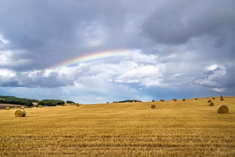 Rainbow over Straw bales, Scottish fields, Southeast Scotland, UK