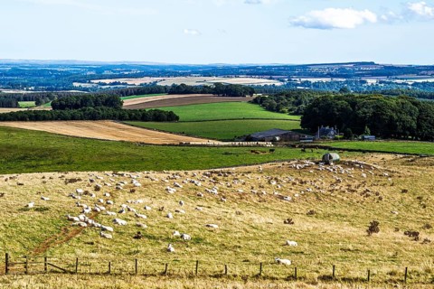 Scottish fields and farms, Southeast Scotland, UK