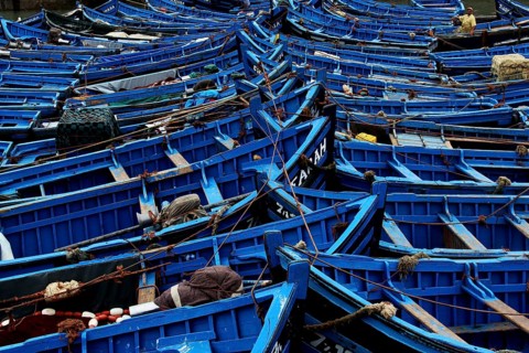 Blue-painted fishing boats close together in the port of Essaouira, Essaouira, Morocco