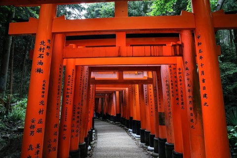 Impressive torii-lined avenue at Fushimi Inari Shrine, Kyoto, Japan