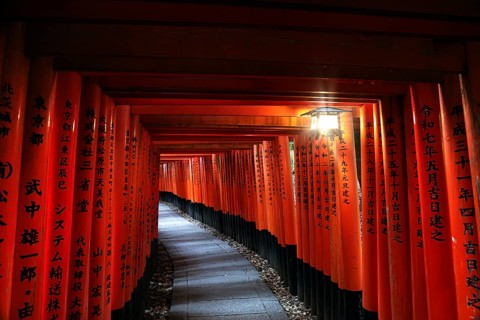 Endless looking avenue of bright red torii at Fushimi Inari Shrine in Kyoto, Kyoto, Fushimi, Japan