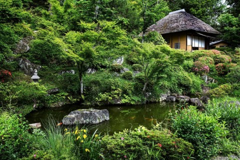 Lush garden in Higashiyama with traditional Japanese building and pond, Kyoto, Japan