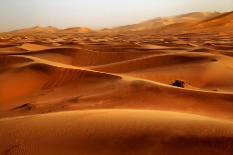 Extensive sand dunes in bright orange stretch to the horizon, Erg Chebbi, Morocco