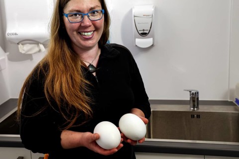 Woman smiles while holding two kiwi eggs in her hands, Rotorua, Bay of Plenty, New Zealand