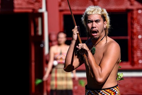 Maori man with strong expression at a welcoming ceremony in Rotorua, Rotorua, Bay of Plenty, New
