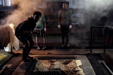 People prepare a traditional hangi in a steaming earth pit in Rotorua, Rotorua, Bay of Plenty, New