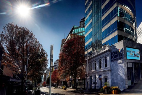 Sunny view of Queen Street with skyscrapers and colorful autumn trees, Auckland, New Zealand