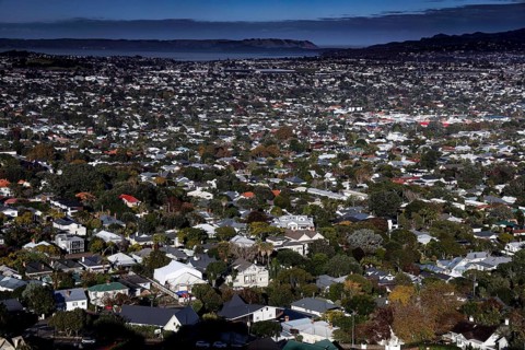 View from Mt Eden over a residential area overlooking the harbor, Auckland, New Zealand