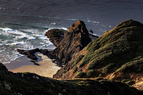 Impressive coastline with rocks and Pohutukawa tree near Cape Reinga, Cape Reinga, New Zealand