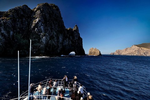 Boat trip to the Hole in the Rock rock formation in the Bay of Islands, Bay of Islands, Northland,
