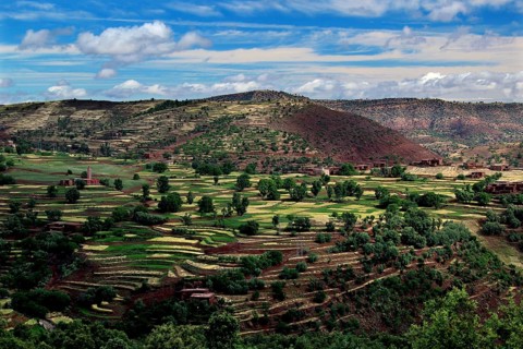 Terraced fields in a hilly landscape of the High Atlas Mountains under wide skies, zero