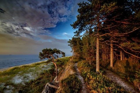 Forest covers ocean dunes under a dramatic sky in Kolka, Kolka, Latvia