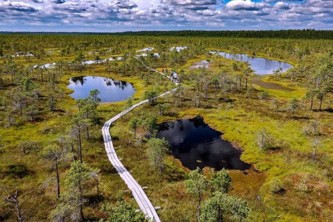 Extensive marshland with several lakes and a wooden plank trail, Kemeri National Park, Latvia