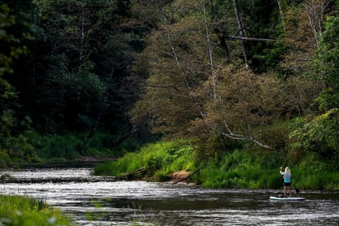Fishermen near Kuku Klintis on the Gauja River, Gauja National Park, Latvia
