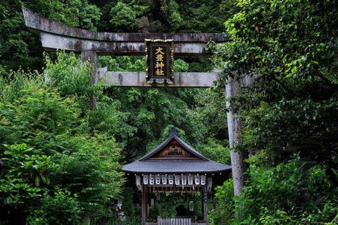Otoyo shrine with torii along the Philosopher's Trail in Kyoto, surrounded by lush nature, Kyoto,