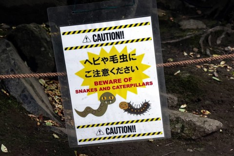 Warning sign for snakes and caterpillars at Ginkaku-ji Temple in Kyoto, Kyoto, Okazaki, Japan
