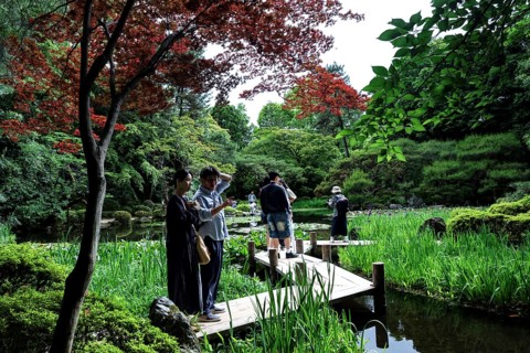 Visitors on the zigzag bridge in Heian-jingu Garden, Kyoto, Kyoto, Japan