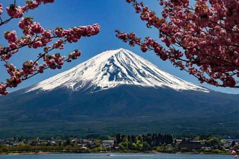 Snow-covered Mount Fuji with blooming cherry trees in Kawaguchi-ko, Kawaguchi-ko, Yamanashi, Japan