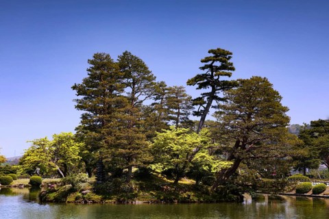 Densely overgrown Kenrokuen Garden in Kanazawa with high sky and green trees, Kanazawa, Japan