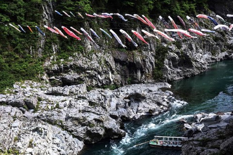 Lots of colorful fabric carps decorate the air above a river in a rocky landscape, Iya, Japan