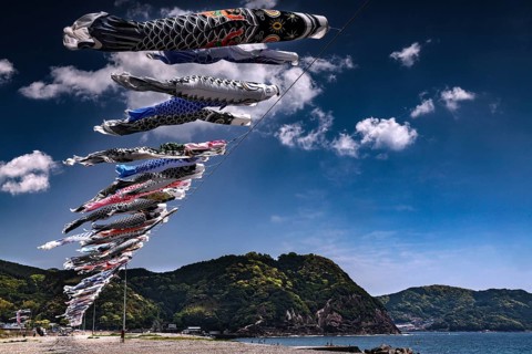 Cloth carp soaring against the blue sky over a hilly landscape, Kii Peninsula, Japan
