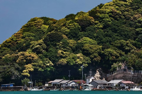 A fishing village nestled between coast and wooded hills, Kii Peninsula, Japan