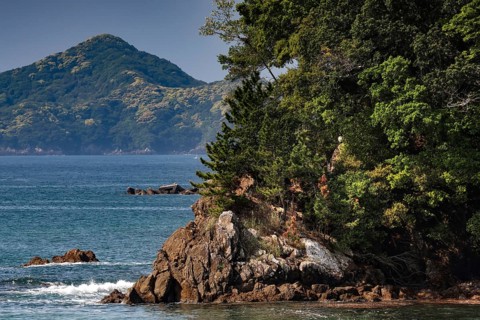 Dense vegetation on the coast of the Kii Peninsula off an island, Kii Peninsula, Japan