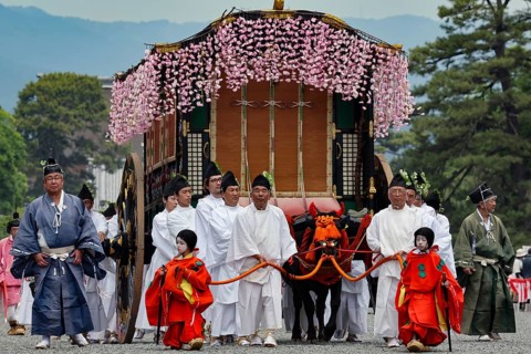 Procession with traditional oxcart at Aoi Matsuri, Kyoto, Japan