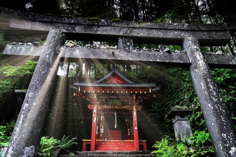 Torii and shrine in Nikko surrounded by nature with rays of light that illuminate the scene, Nikko,