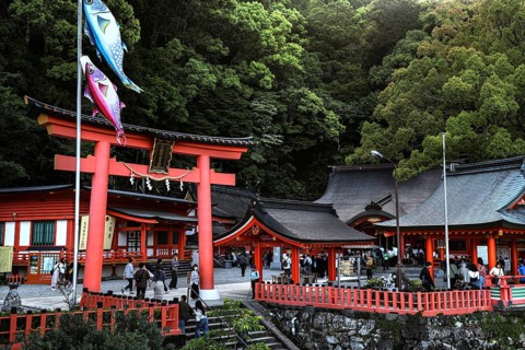 Traditional shrine with red torii surrounded by thick vegetation, Nachi, Wakayama, Japan