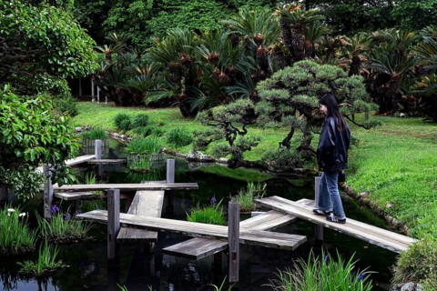Woman in a Japanese garden walking across a zigzag bridge surrounded by lush greenery, Okayama,