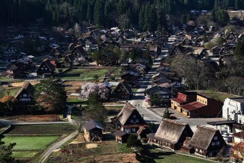 Shirakawa-go village with traditional gassho-zukuri houses in the Shokawa Valley, Shirakawa, Gifu,
