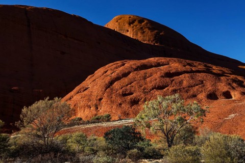 Red rocks in the Valley of the Winds surrounded by scrubland near Kata Tjuta, Kata Tjuta, Northern